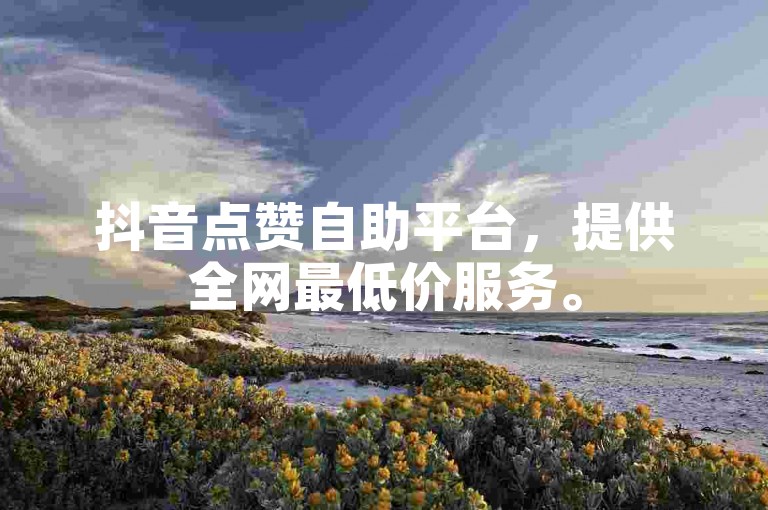抖音点赞自助平台，提供全网最低价服务。