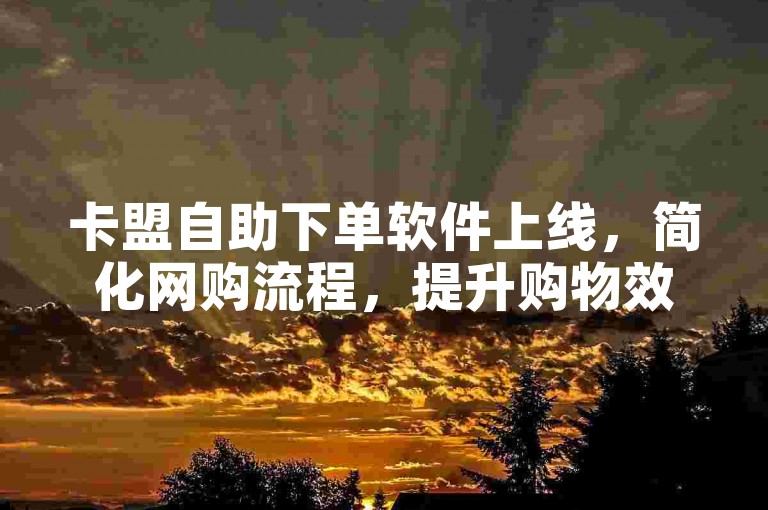 卡盟自助下单软件上线，简化网购流程，提升购物效率。