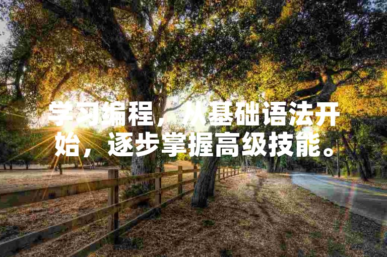 学习编程，从基础语法开始，逐步掌握高级技能。