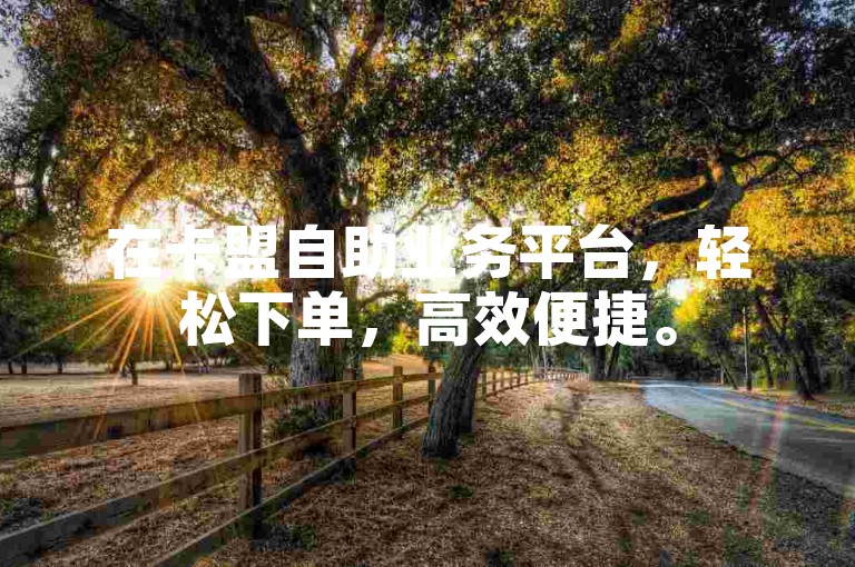 在卡盟自助业务平台，轻松下单，高效便捷。