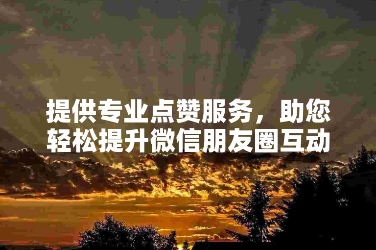 提供专业点赞服务，助您轻松提升微信朋友圈互动热度。