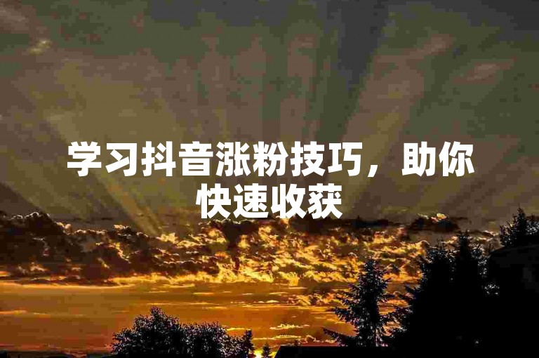 学习抖音涨粉技巧，助你快速收获500粉丝。