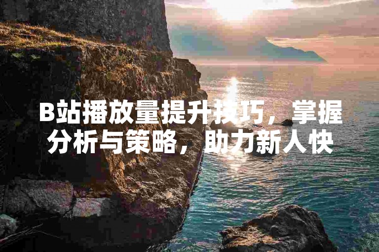 B站播放量提升技巧，掌握分析与策略，助力新人快速上手！