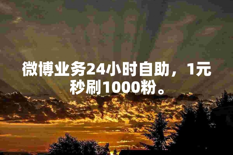 微博业务24小时自助，1元秒刷1000粉。
