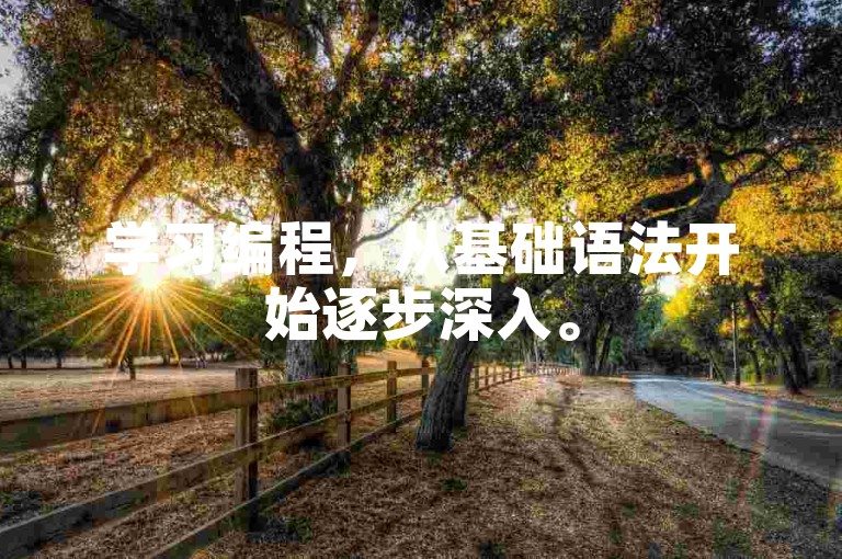 学习编程，从基础语法开始逐步深入。