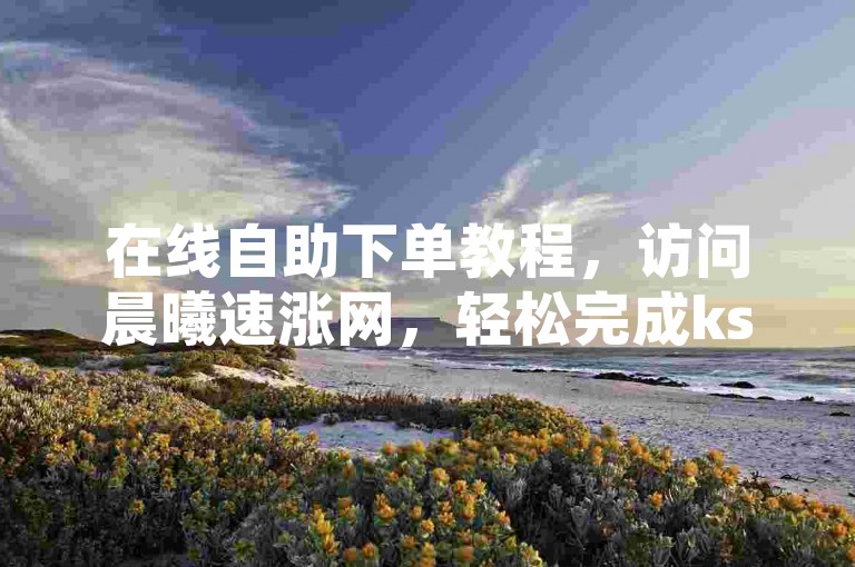 在线自助下单教程，访问晨曦速涨网，轻松完成ks业务操作。