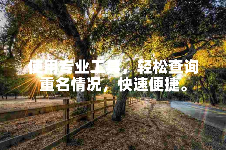 使用专业工具，轻松查询重名情况，快速便捷。