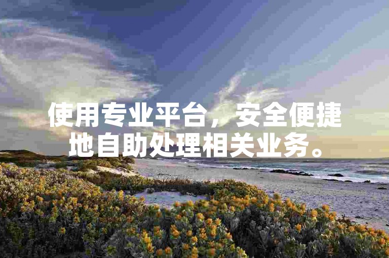 使用专业平台，安全便捷地自助处理相关业务。
