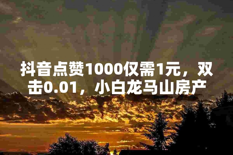 抖音点赞1000仅需1元，双击0.01，小白龙马山房产装修，24小时自助服务！