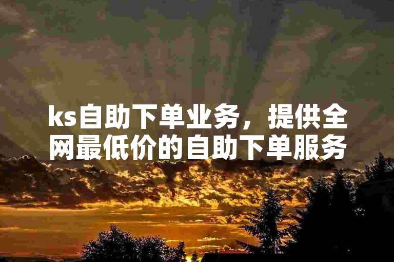 ks自助下单业务，提供全网最低价的自助下单服务。