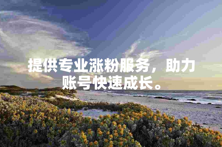 提供专业涨粉服务，助力账号快速成长。