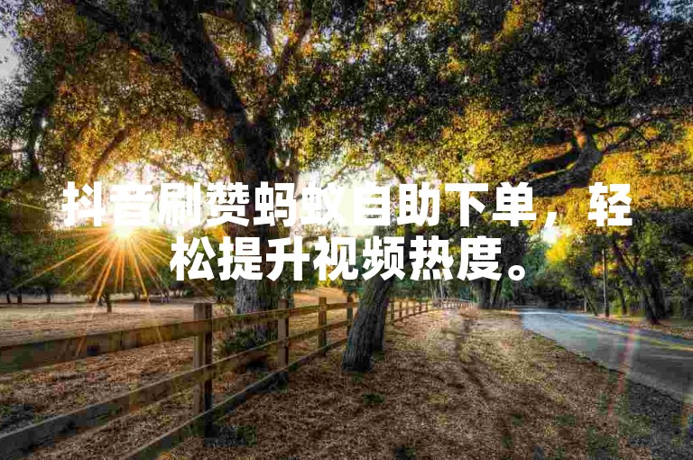 抖音刷赞蚂蚁自助下单，轻松提升视频热度。
