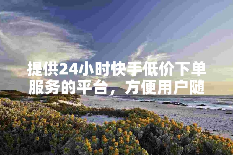 提供24小时快手低价下单服务的平台，方便用户随时下单。