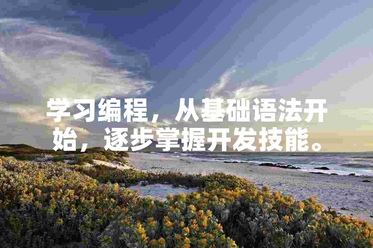 学习编程，从基础语法开始，逐步掌握开发技能。