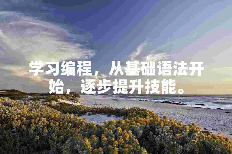 学习编程，从基础语法开始，逐步提升技能。