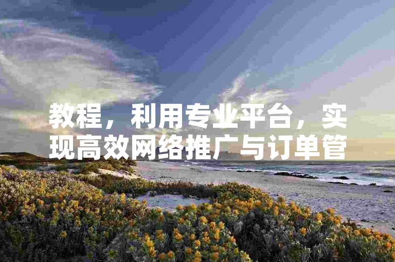 教程，利用专业平台，实现高效网络推广与订单管理。
