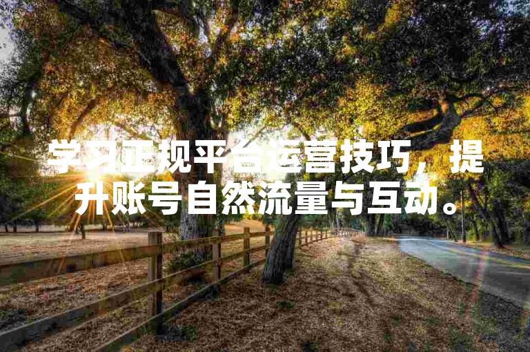 学习正规平台运营技巧，提升账号自然流量与互动。