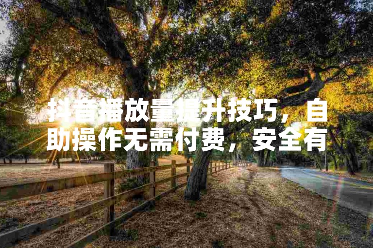 抖音播放量提升技巧，自助操作无需付费，安全有效。