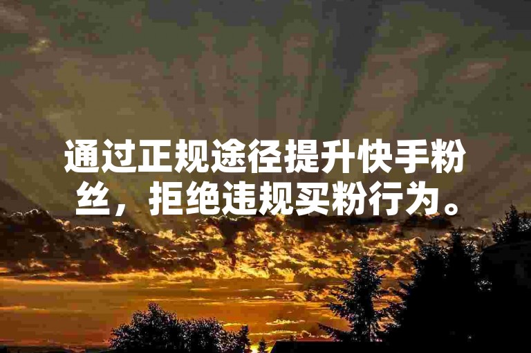 通过正规途径提升快手粉丝，拒绝违规买粉行为。