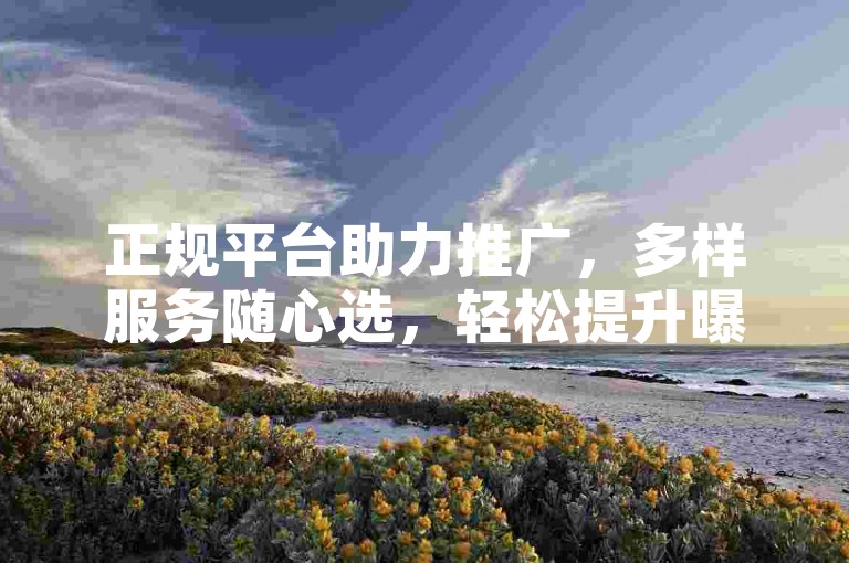 正规平台助力推广，多样服务随心选，轻松提升曝光度。