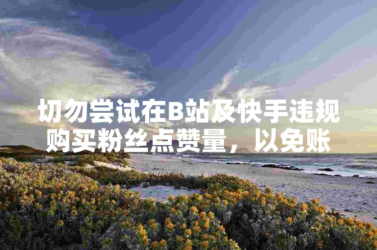 切勿尝试在B站及快手违规购买粉丝点赞量，以免账号受限。