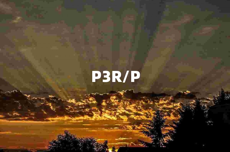 P3R/P5R特惠开启，无主之地3折价探秘启程🚀💰