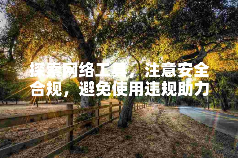 探索网络工具，注意安全合规，避免使用违规助力及播放量软件。