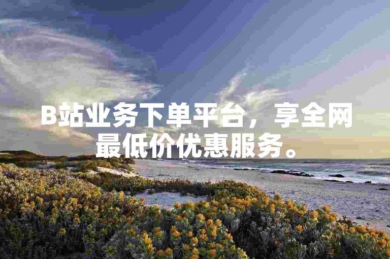 B站业务下单平台，享全网最低价优惠服务。