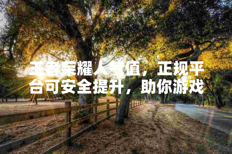 王者荣耀人气值，正规平台可安全提升，助你游戏更出彩。