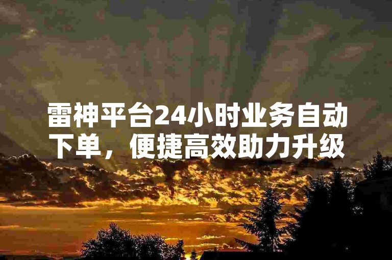 雷神平台24小时业务自动下单，便捷高效助力升级。