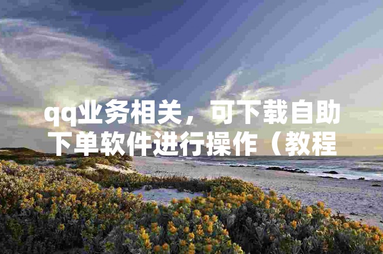 qq业务相关，可下载自助下单软件进行操作（教程指引）