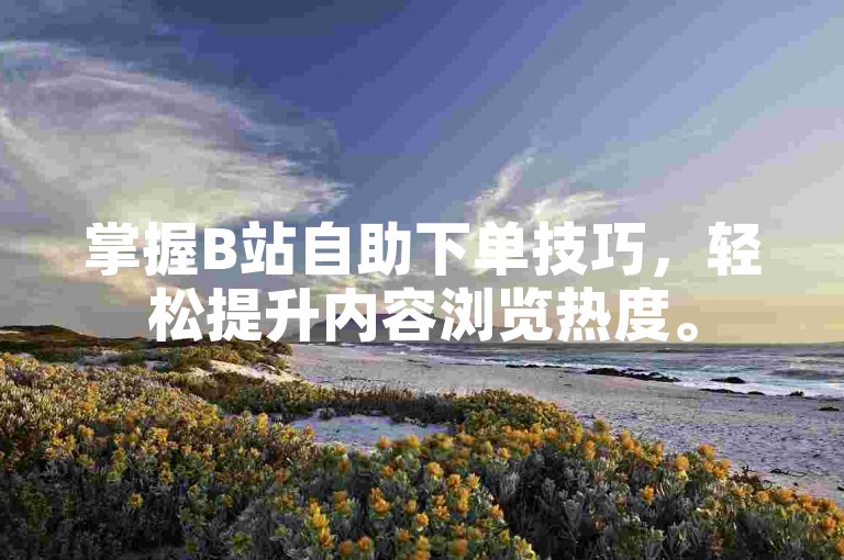 掌握B站自助下单技巧，轻松提升内容浏览热度。
