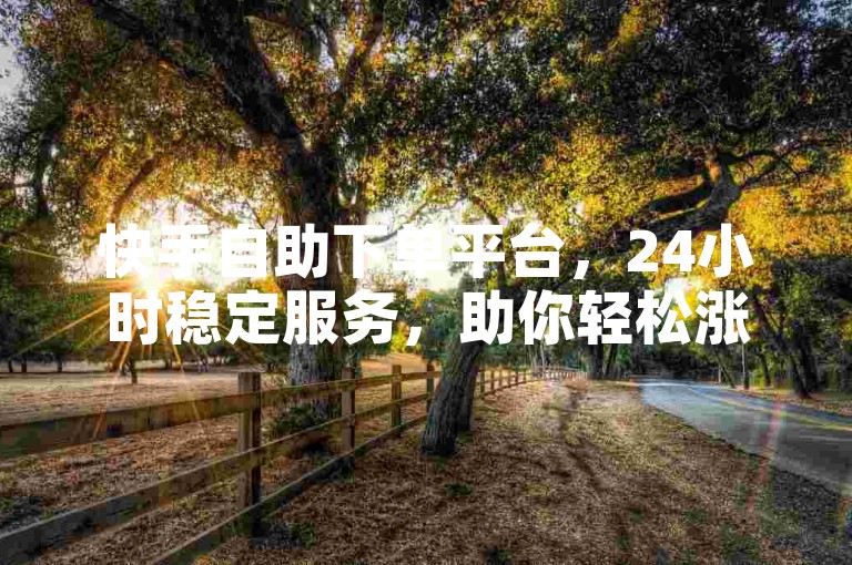 快手自助下单平台，24小时稳定服务，助你轻松涨人气。
