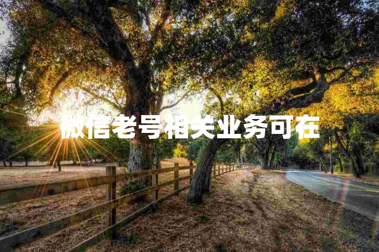 微信老号相关业务可在51微信老号网查询，ks推广有自助网站可用。
