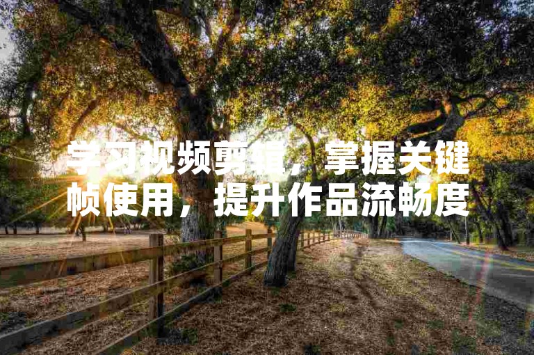 学习视频剪辑，掌握关键帧使用，提升作品流畅度。