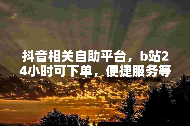 抖音相关自助平台，b站24小时可下单，便捷服务等你来体验。