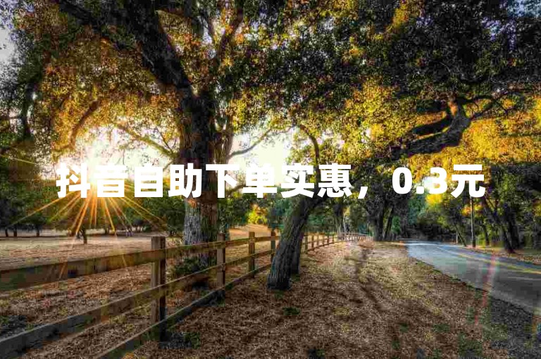 抖音自助下单实惠，0.3元500赞轻松自助下单。