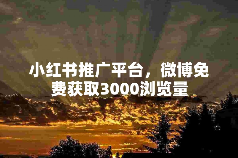 小红书推广平台，微博免费获取3000浏览量
