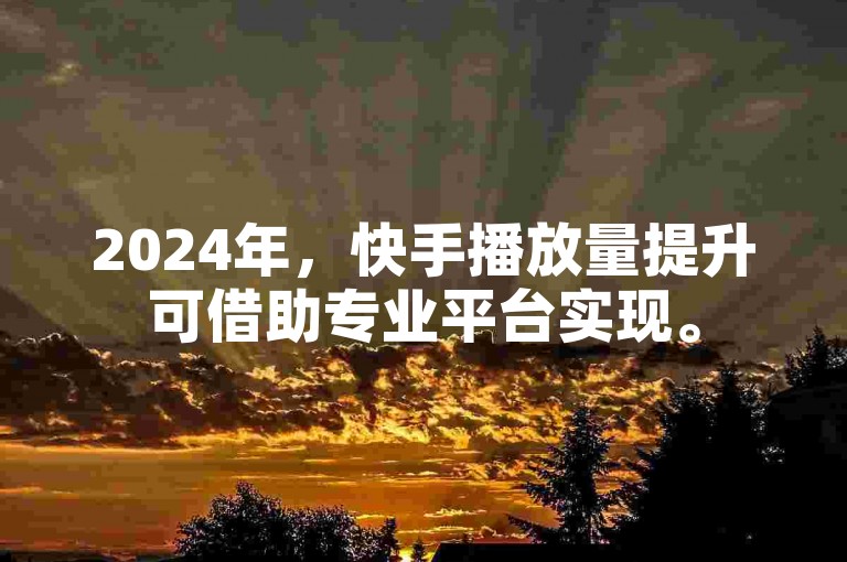 2024年，快手播放量提升可借助专业平台实现。