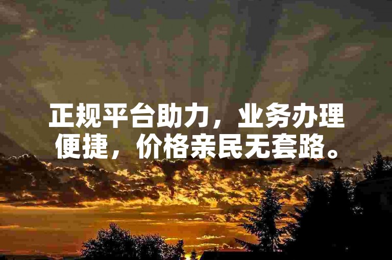 正规平台助力，业务办理便捷，价格亲民无套路。