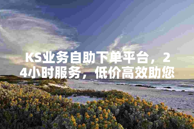 KS业务自助下单平台，24小时服务，低价高效助您增长。