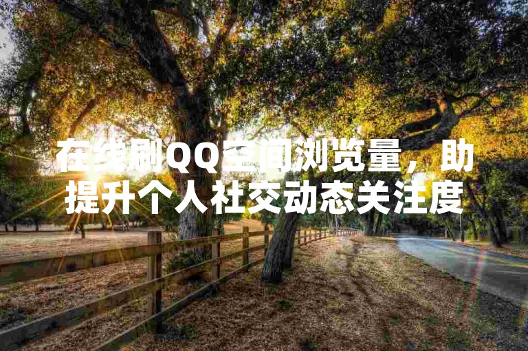 在线刷QQ空间浏览量，助提升个人社交动态关注度。