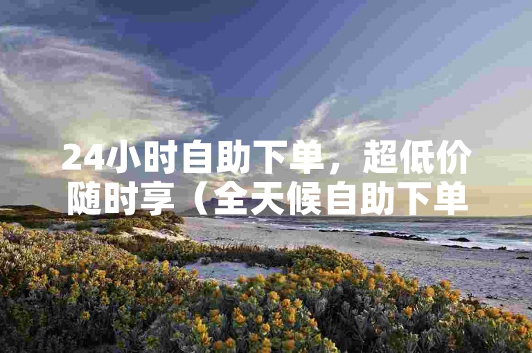 24小时自助下单，超低价随时享（全天候自助下单享最低价）