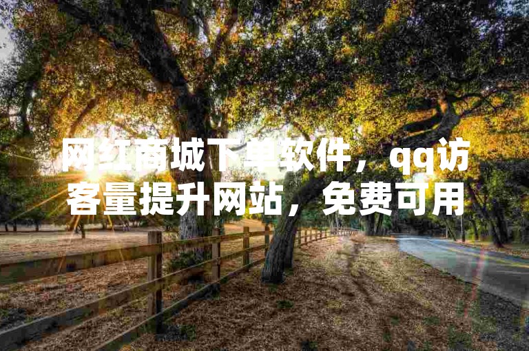 网红商城下单软件，qq访客量提升网站，免费可用别错过。