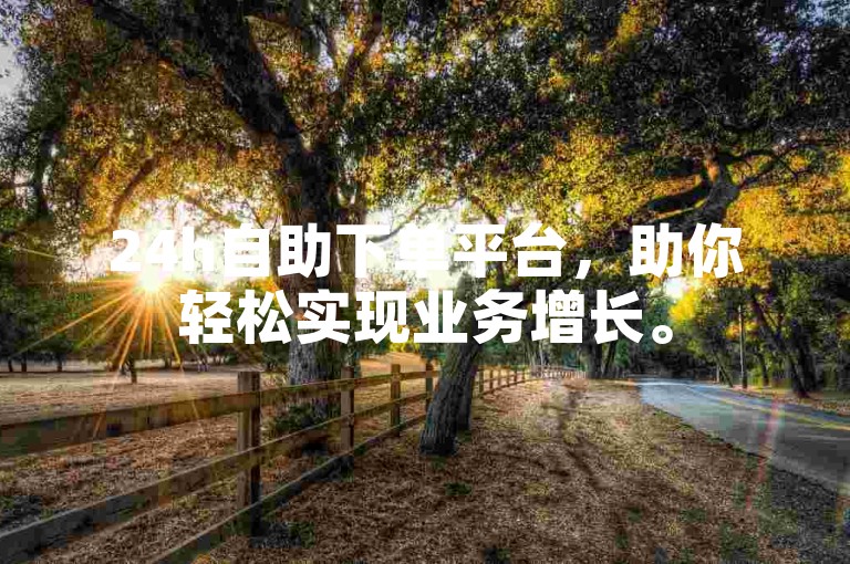 24h自助下单平台，助你轻松实现业务增长。