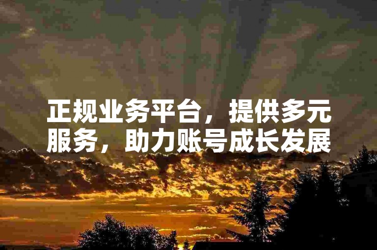正规业务平台，提供多元服务，助力账号成长发展。