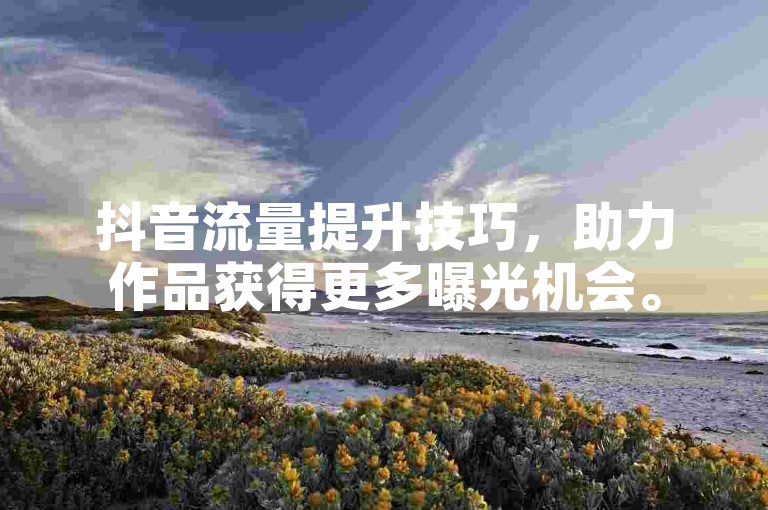 抖音流量提升技巧，助力作品获得更多曝光机会。
