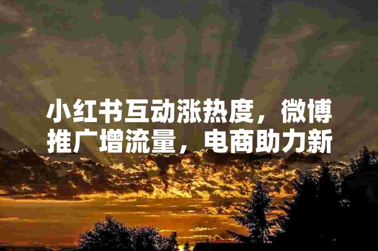 小红书互动涨热度，微博推广增流量，电商助力新工具上线。