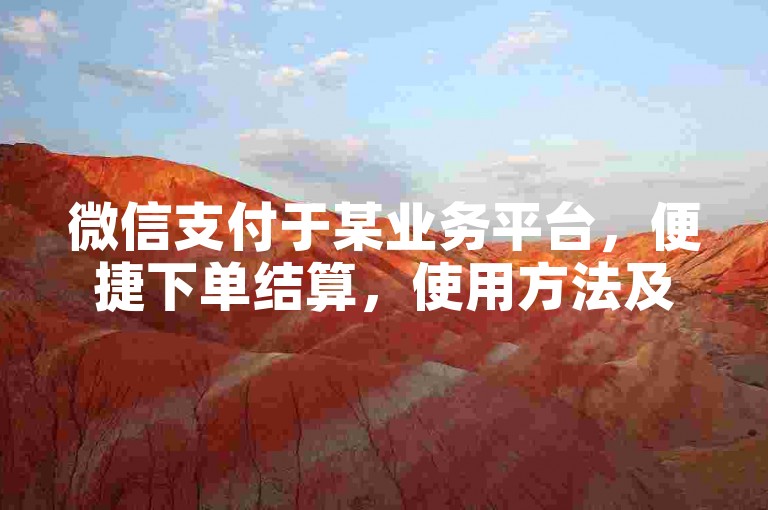 微信支付于某业务平台，便捷下单结算，使用方法及注意事项详解。