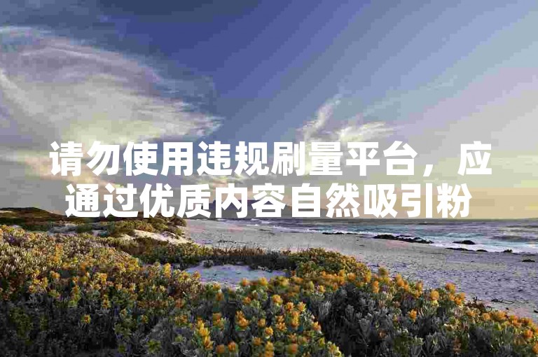 请勿使用违规刷量平台，应通过优质内容自然吸引粉丝。